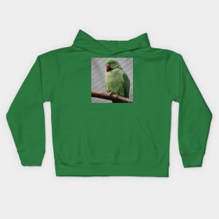 Perched Parakeet Kids Hoodie